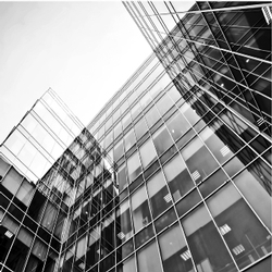 10th Annual Organization Design and Diagnostics Conference